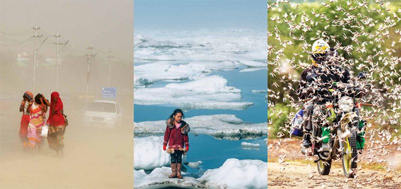 新型生物刺激素集成技術(shù) -- 積極應(yīng)對非生物脅迫對農(nóng)業(yè)生產(chǎn)影響，助力糧食產(chǎn)量和農(nóng)產(chǎn)品品質(zhì)雙提升