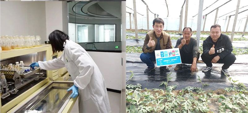 打造新朝陽生物科技“五張名片”，服務(wù)農(nóng)業(yè)高質(zhì)量發(fā)展！