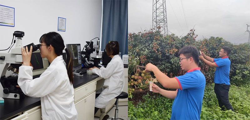 打造新朝陽生物科技“五張名片”，服務(wù)農(nóng)業(yè)高質(zhì)量發(fā)展！